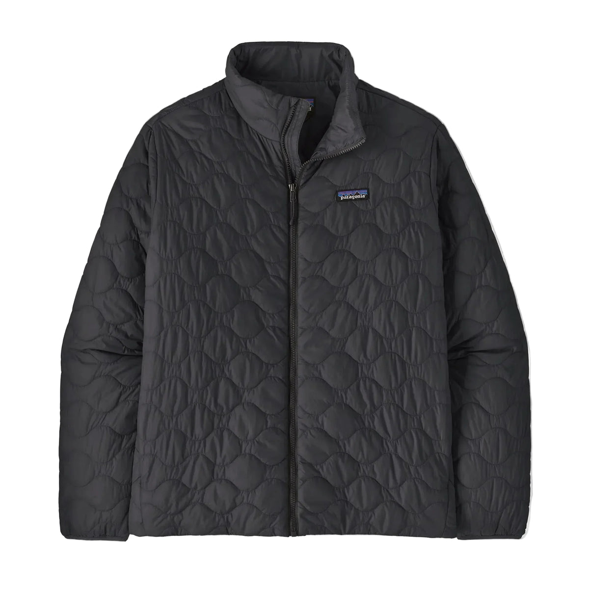 Patagonia Men's Peak Jacket (Black)